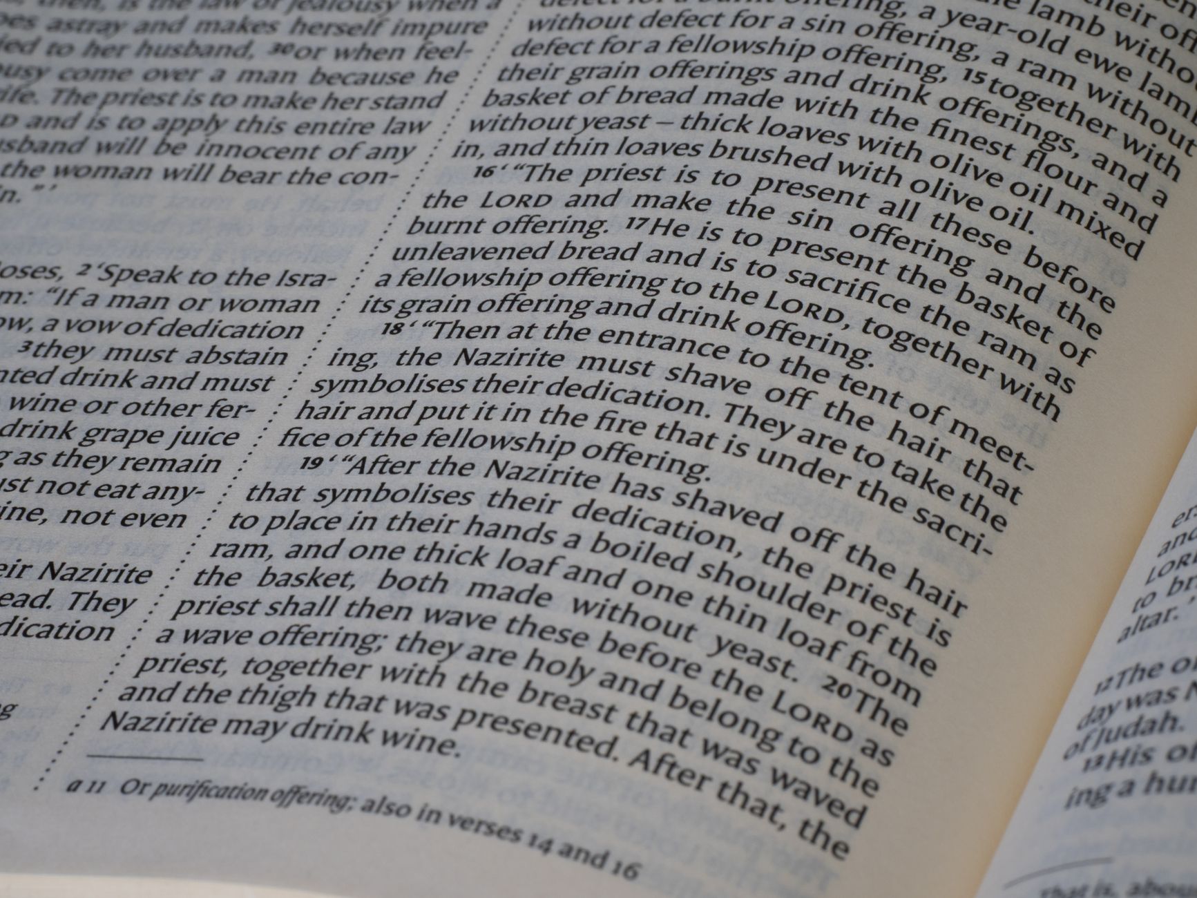Detailed view of a Bible text open to a specific passage, showing the structure and content.